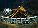 AquaSphere game