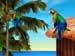 Caribbean Mah Jong game