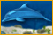 Dolphin Dice Slots game