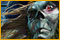 Secrets of the Seas: Flying Dutchman game