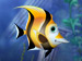 Fishdom game
