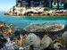 Hawaiian Explorer Pearl Harbor screenshot