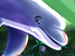 Safari Island Deluxe game