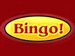 S&S Bingo game