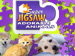 Super Jigsaw Adorable Animals 2 screenshot