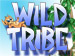 Wild Tribe screenshot