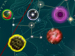 Zodiac game